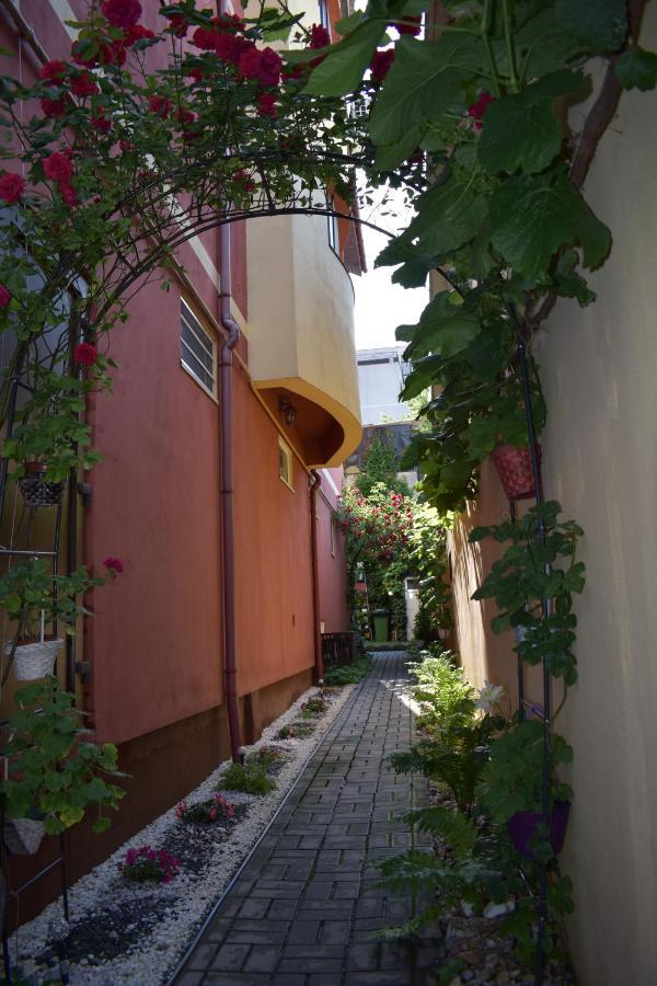 Casa Mara Διαμέρισμα Τουλσέα Εξωτερικό φωτογραφία